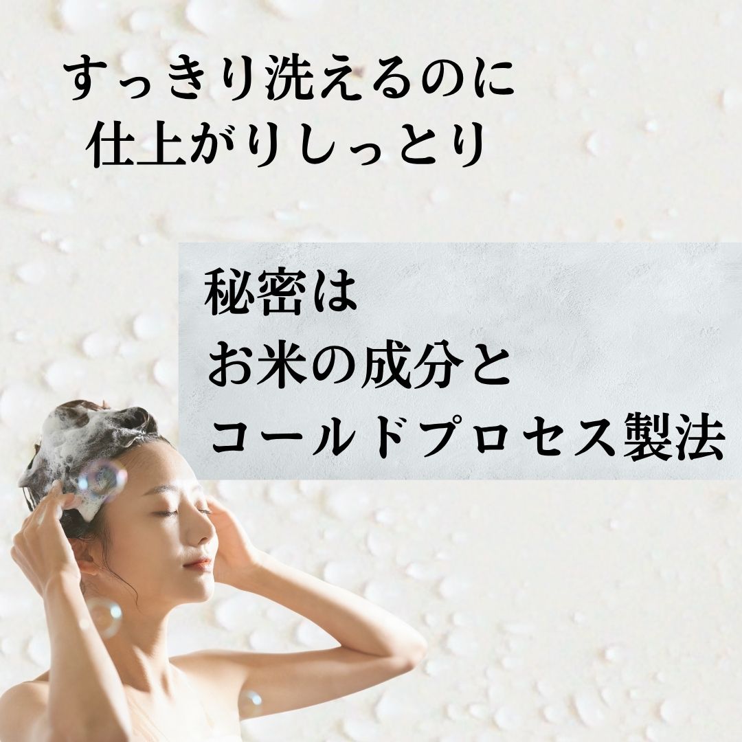 【夏限定！Railoo全部セット】